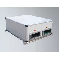 揚(yáng)子江商用新風(fēng)換氣機(jī)